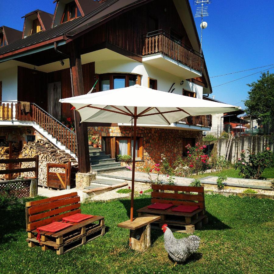 Bed and Breakfast La Rocca Bianca Demonte Exterior foto